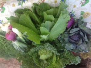 Image of fruits, grains, vegetables